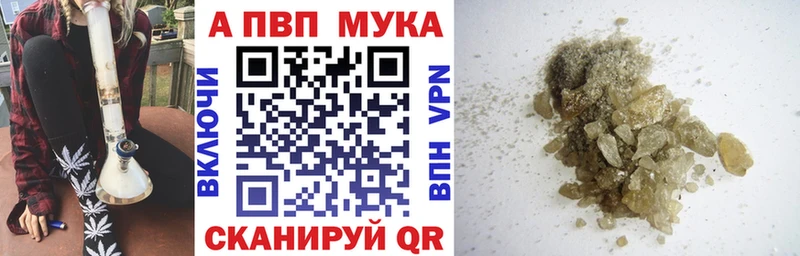 Купить закладки  Шагонар  A-PVP крисы CK 