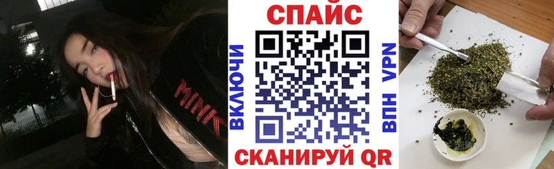 Купить где  Шагонар  Бутират Butirat 