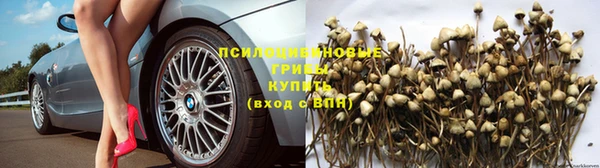 гашиш Новокубанск