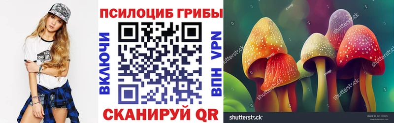 Псилоцибиновые грибы мицелий  Купить  Шагонар 