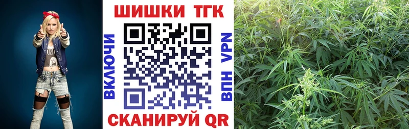 Купить  Шагонар  Каннабис Amnesia 